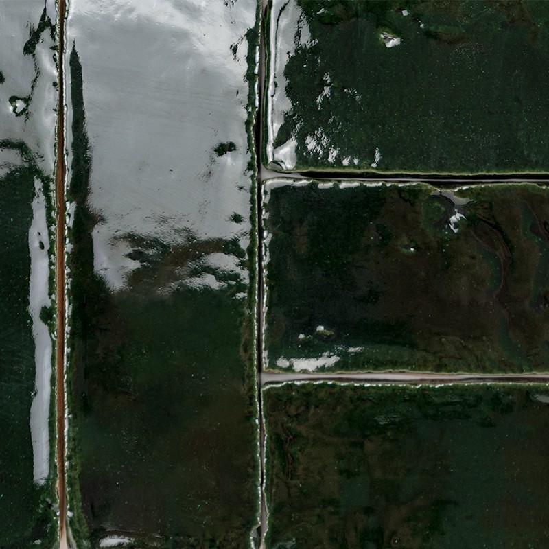 Lote retangular alagado com superfície reflexiva; cercado por caminhos de terra formando grade, vegetação densa e áreas pantanosas adjacentes.