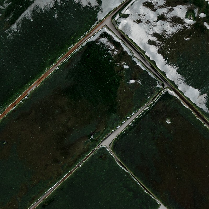 Dark rectangular plot with puddles and light patches; context: dikes and narrow paths forming a grid over a wet landscape with scattered vegetation.