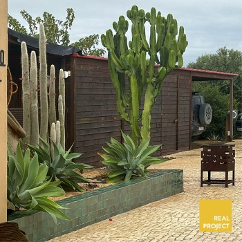 Morocco Groen