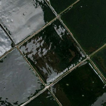 Vitri Bouteille 10x10