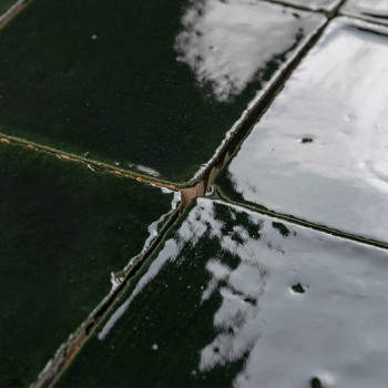 Vitri Bouteille 10x10