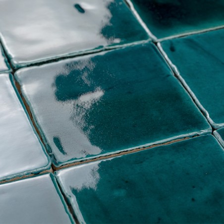 Posidonia Vitri 10x10