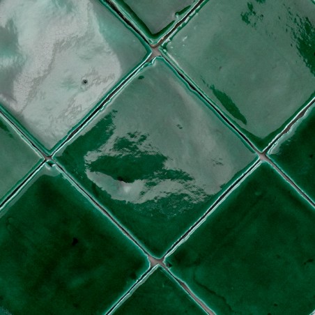 Vitri Vert 10x10