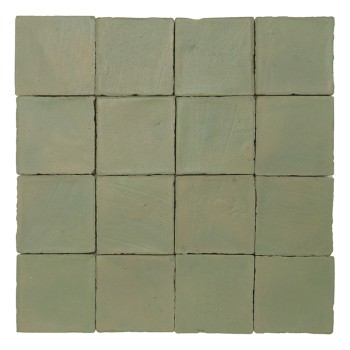 Chroma Salvia 10x10