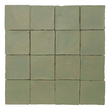 Chroma Salvia 10x10