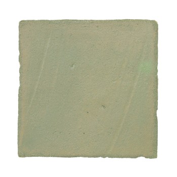 Chroma Salie 10x10