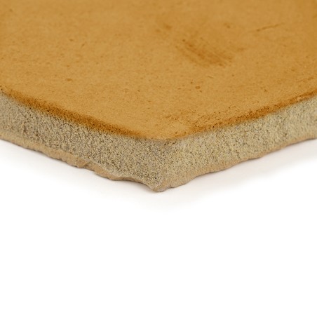 Chroma Ocre Hexagono 10