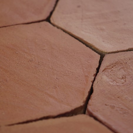 Chroma Coral Hexágono 10