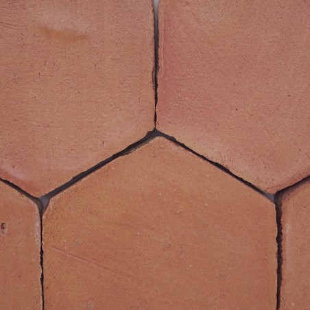 Chroma Coral Hexágono 10