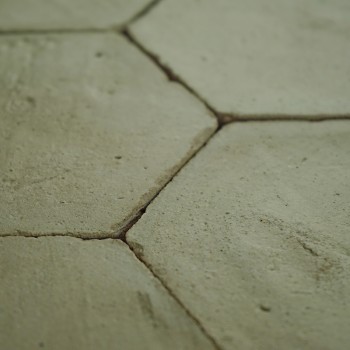 Chroma Salvia Hexágono 10