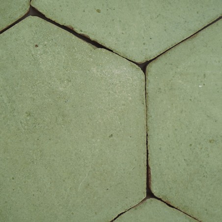 Chroma Salvia Hexágono 10