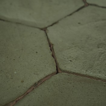 Chroma Oliva Hexágono 10
