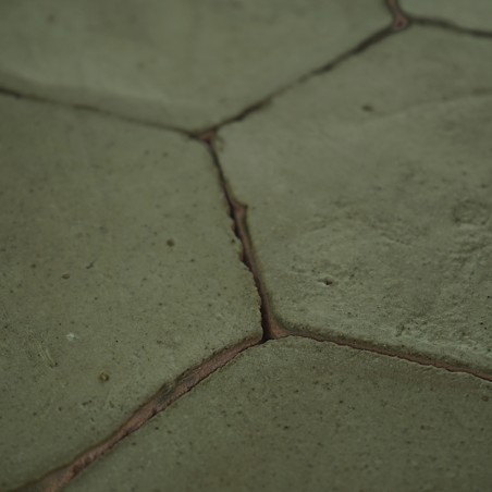 Chroma Olive Hexágono 10
