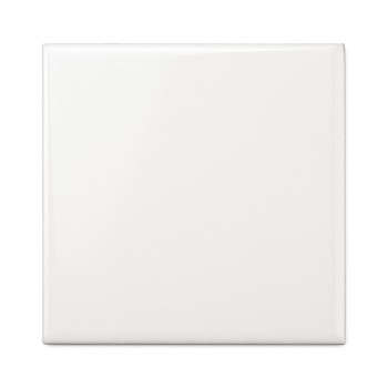Pure White Gloss 10x10