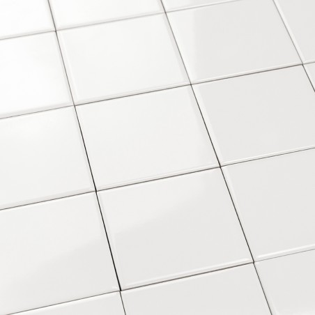 Pure Blanc Brillant 10x10