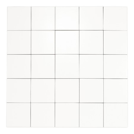Pure Blanc Mat 10x10