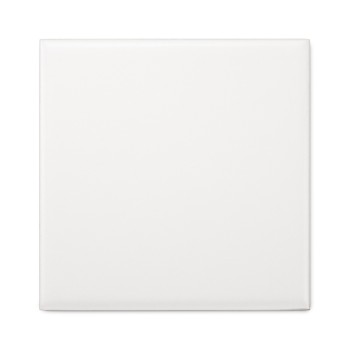 Pure Blanc Mat 10x10