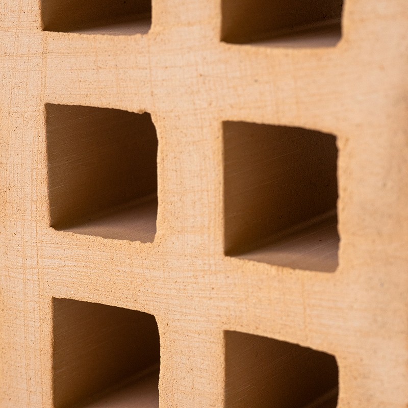 Celosía Salk