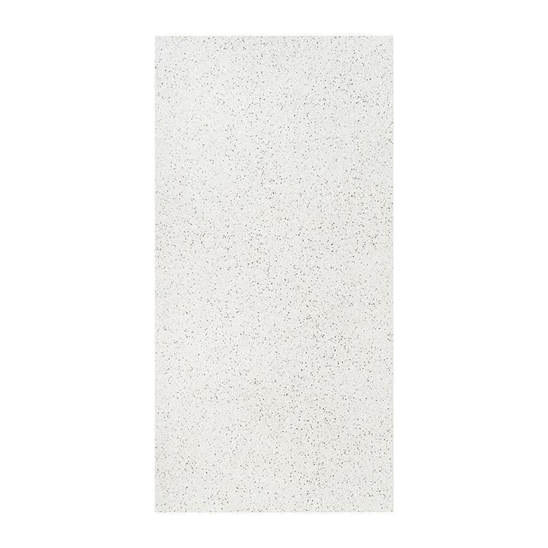 Gobi Blanc 60x120