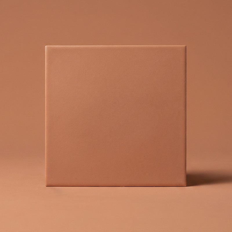 Delhi Coral