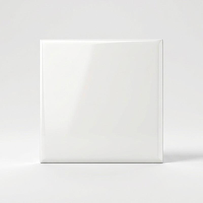 Pure Blanc Brillant 10x10