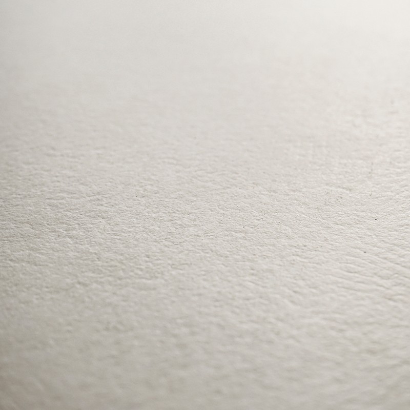 Belice Cotton 60x120