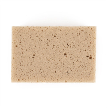 Een rechthoekige beige spons ligt plat en vertoont kleine, onregelmatige gaatjes over het hele oppervlak, tegen een effen witte 