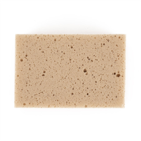 Een rechthoekige beige spons ligt plat en vertoont kleine, onregelmatige gaatjes over het hele oppervlak, tegen een effen witte 