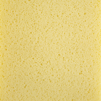 Eine gelbe, poröse Schwammstruktur mit kleinen Löchern, die gleichmäßig über die Oberfläche verteilt sind und den gesamten Rahme