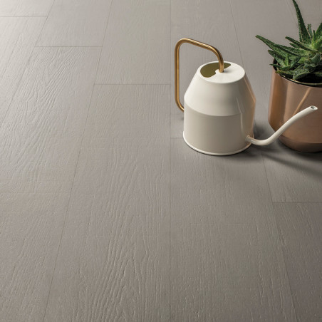 Op de vloer ligt een lichtgrijze tegel met houtstructuur, samen met een witte gieter met een gouden handvat naast een vetplant i