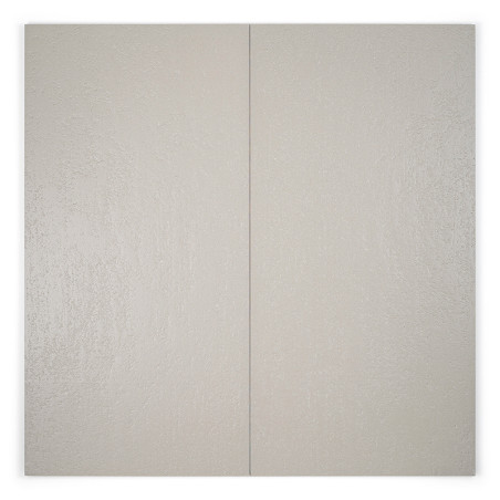 Dos azulejos rectangulares de color gris claro adyacentes con una superficie brillante forman un telón de fondo minimalista en u Dos azulejos rectangulares de color gris claro adyacentes con una superficie brillante forman un telón de fondo minimalista en u
