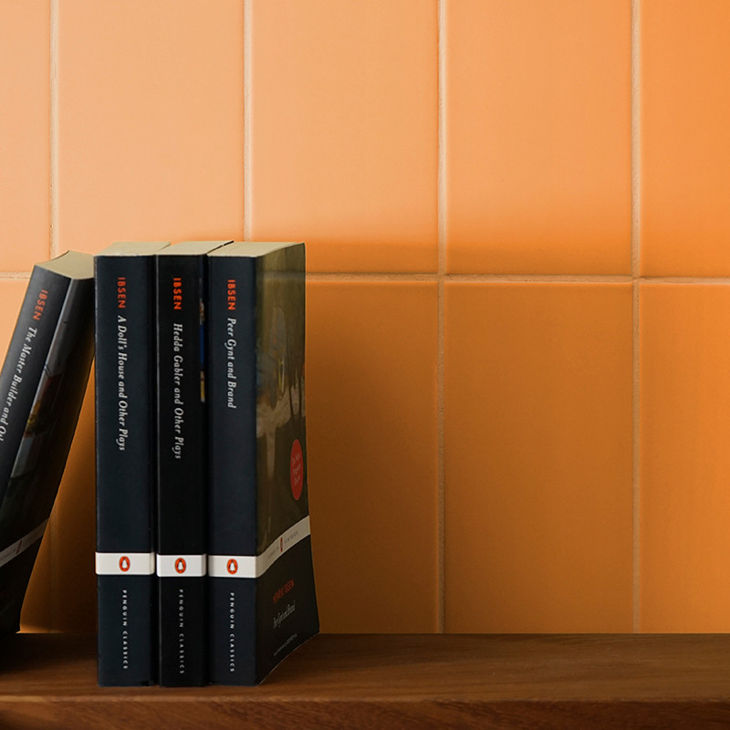Os livros estão em pé sobre uma prateleira de madeira. O pano de fundo é uma parede de azulejos laranja suave, criando um ambien