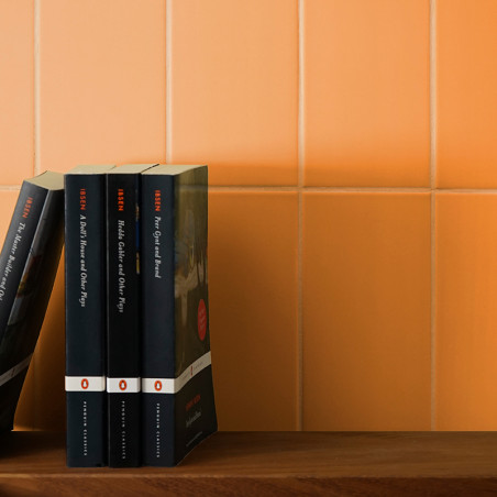 Bücher stehen aufrecht auf einem Holzregal. Der Hintergrund ist eine gedämpfte orangefarbene Fliesenwand, die eine warme, minima Bücher stehen aufrecht auf einem Holzregal. Der Hintergrund ist eine gedämpfte orangefarbene Fliesenwand, die eine warme, minima