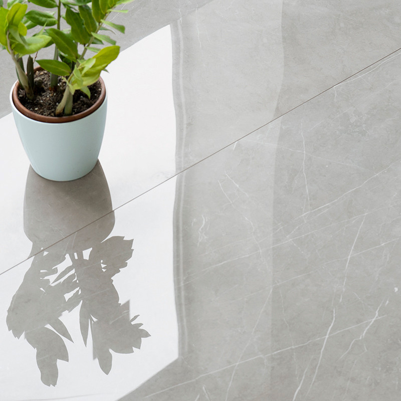 A small potted plant casts a clear reflection on a glossy, light gray tiled floor, highlighting the tiles smooth, polished surfa