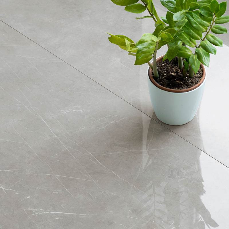 A potted plant with glossy green leaves sits quietly atop a smooth, gray marble tile floor, reflecting natural light.