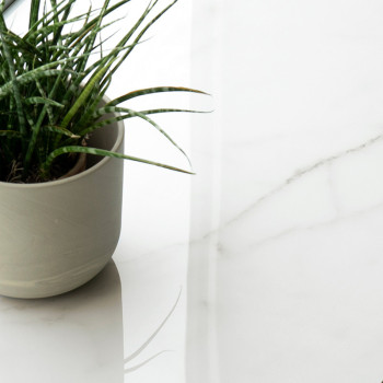 Een groene potplant staat op een glad, witmarmeren oppervlak en reflecteert zacht natuurlijk licht in een minimalistische omgevi