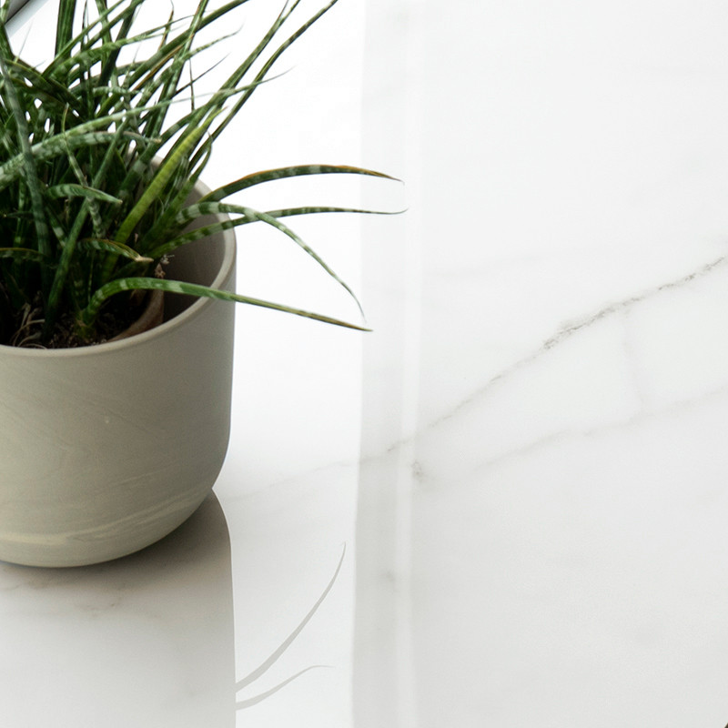 Een groene potplant staat op een glad, witmarmeren oppervlak en reflecteert zacht natuurlijk licht in een minimalistische omgevi