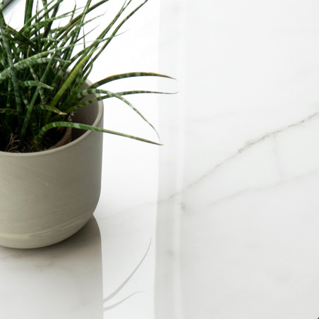 Een groene potplant staat op een glad, witmarmeren oppervlak en reflecteert zacht natuurlijk licht in een minimalistische omgevi