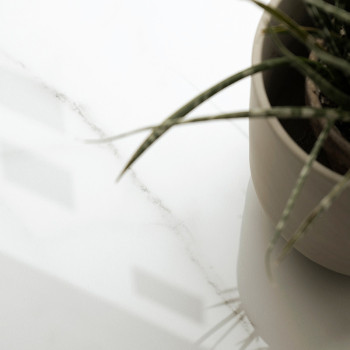 Een potplant met lange, dunne bladeren rust op een glad, wit, reflecterend oppervlak, wat een minimalistisch binnenklimaat sugge