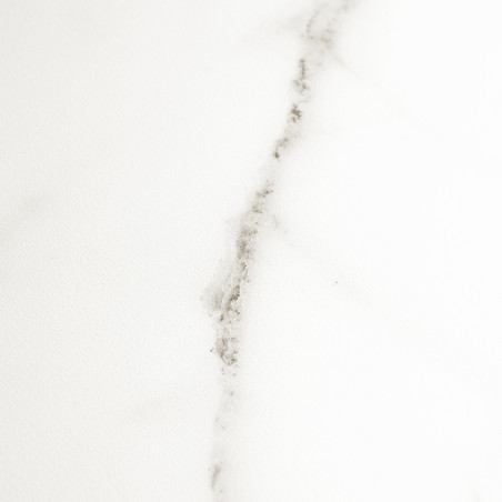 White marble tile displays a subtle gray vein running diagonally, creating a natural, elegant appearance against a smooth surfac