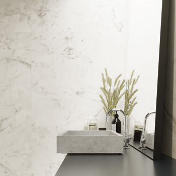 A rectangular stone sink sits on a dark countertop, reflecting in a mirror. It is surrounded by decorative grasses and toiletrie