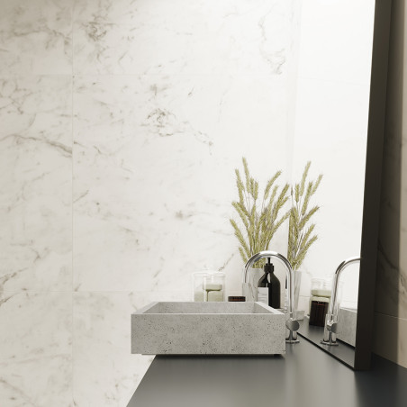 A rectangular stone sink sits on a dark countertop, reflecting in a mirror. It is surrounded by decorative grasses and toiletrie
