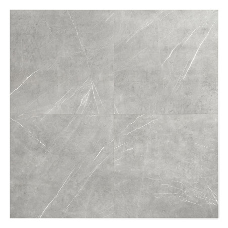 Das Bild zeigt eine quadratische Fliese mit einer glatten, hellgrauen Oberfläche und dezenten weißen Maserungen, die ein marmora Das Bild zeigt eine quadratische Fliese mit einer glatten, hellgrauen Oberfläche und dezenten weißen Maserungen, die ein marmora