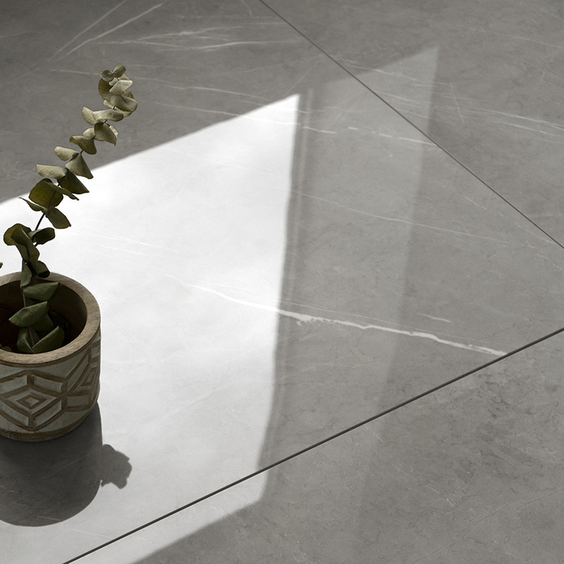 A small plant in a decorative pot sits on smooth, reflective gray tiles. Light from a window casts a geometric shadow.
