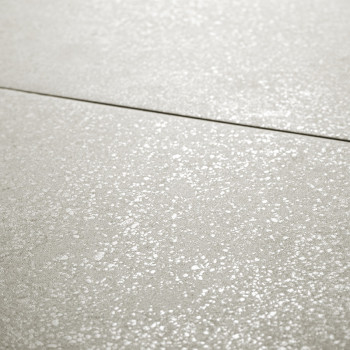 Die Fliese verfügt über eine hellgraue Oberfläche mit gesprenkelter Textur, die dezent schimmernde Punkte aufweist. Es ist Teil 