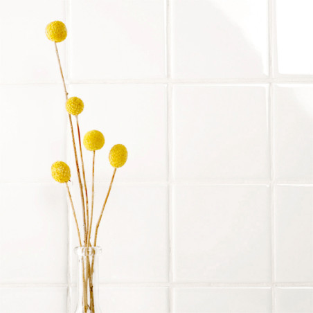 Bolas amarelas ficam em pé em um vaso transparente contra um fundo de azulejos brancos brilhantes.