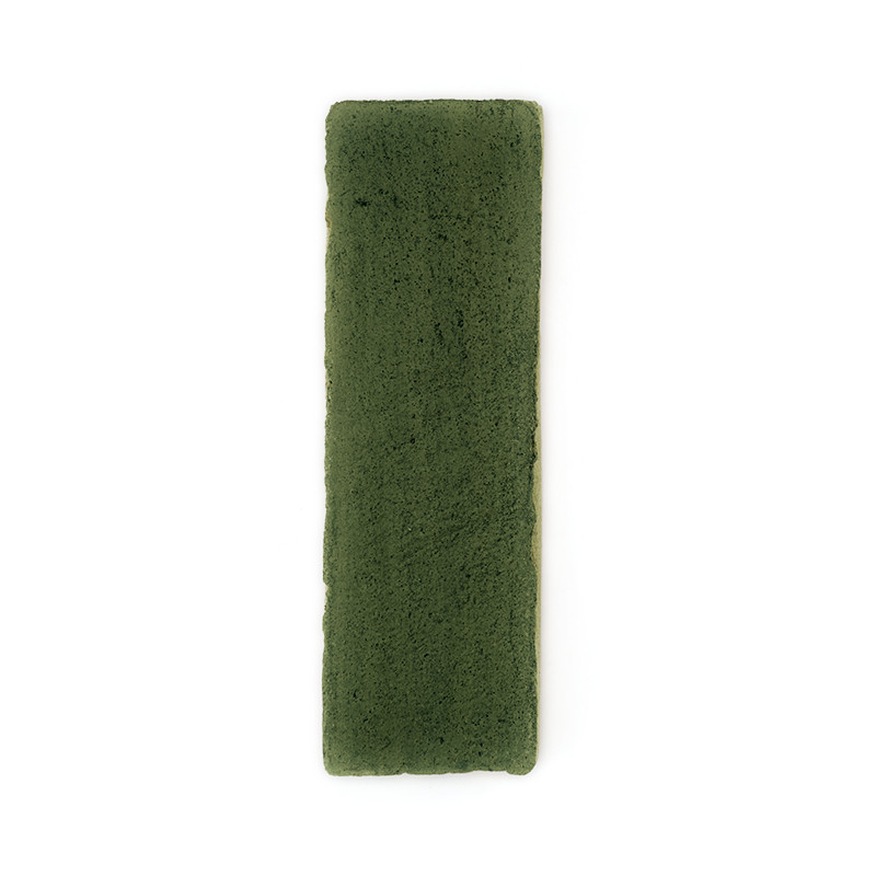 Un long carreau rectangulaire en terre cuite verte repose verticalement sur un fond blanc uni.