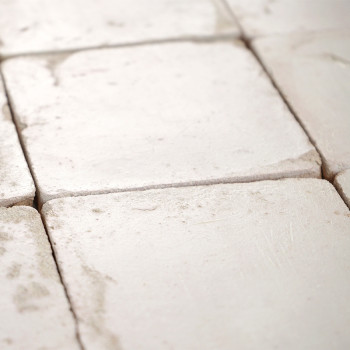 Vierkante terracottategels zijn gerangschikt in een raster, waarvan sommige subtiele slijtage vertonen, waardoor een rustieke ui