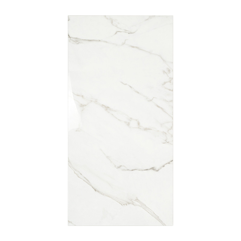 Rechthoekige tegel met een glanzend, wit marmerpatroon met lichtgrijze nerven, waardoor een strakke, eigentijdse uitstraling ont