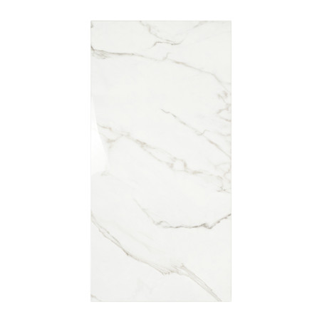 Rechthoekige tegel met een glanzend, wit marmerpatroon met lichtgrijze nerven, waardoor een strakke, eigentijdse uitstraling ont